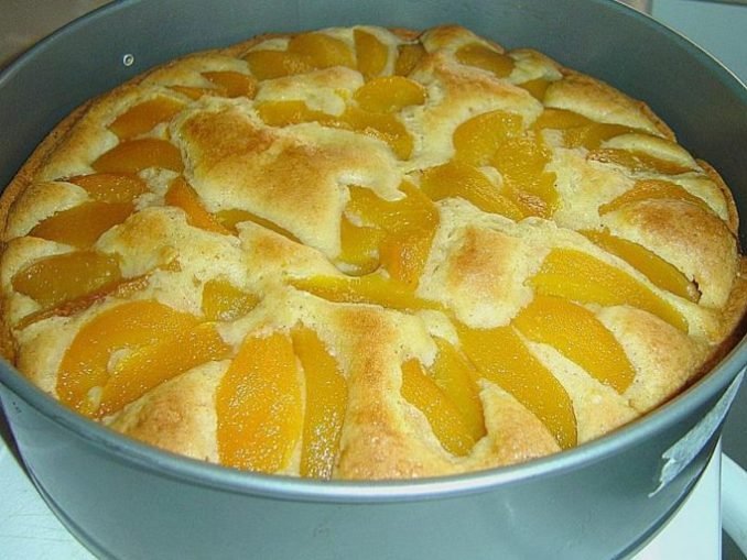 Omas cremiger Schmandkuchen mit Pudding - Beste Essen