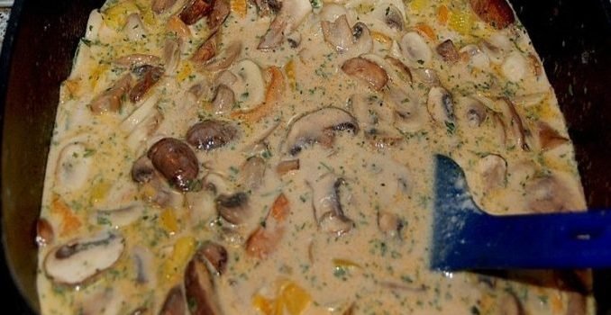 Puten-Sahne-Gulasch-auf-Bandnudeln